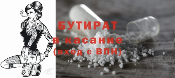 ПСИЛОЦИБИНОВЫЕ ГРИБЫ Гусев
