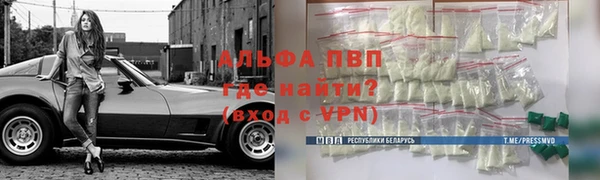 ПСИЛОЦИБИНОВЫЕ ГРИБЫ Гусев