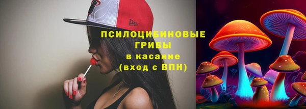 ПСИЛОЦИБИНОВЫЕ ГРИБЫ Гусев