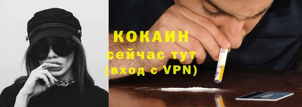 ПСИЛОЦИБИНОВЫЕ ГРИБЫ Гусев