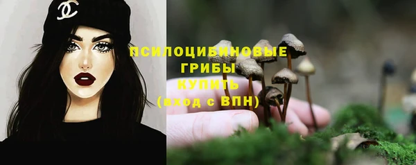 ПСИЛОЦИБИНОВЫЕ ГРИБЫ Гусиноозёрск