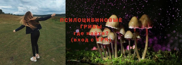 каннабис Гусь-Хрустальный