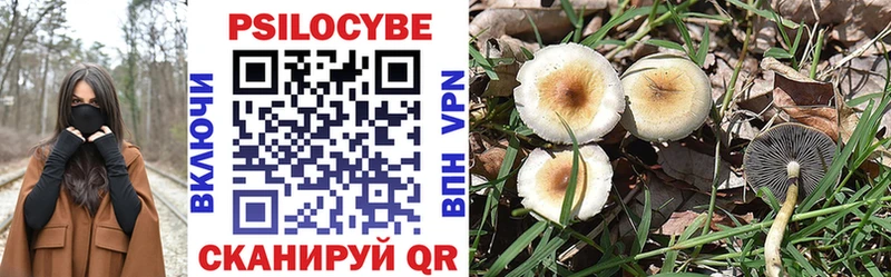 Псилоцибиновые грибы MAGIC MUSHROOMS  Рязань 
